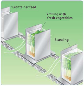 Packaging machine 