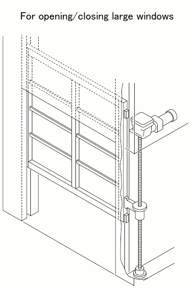 Window 