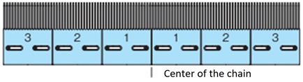 Center of the chain 