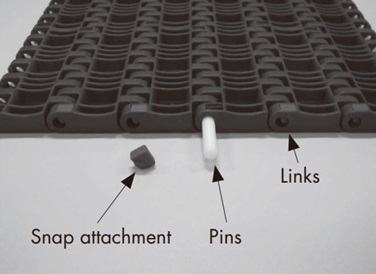 Structure of both ends of chain 