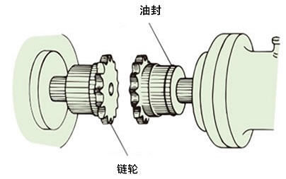 油封, 链轮
