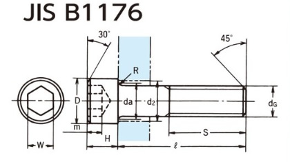 Hex Cap Bolts 