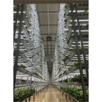 人工光型植物工場向け自動化設備&nbsp;[開発品]