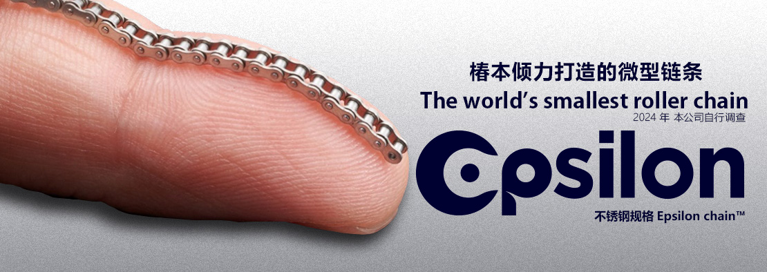 Epsilon chain 不锈钢规格