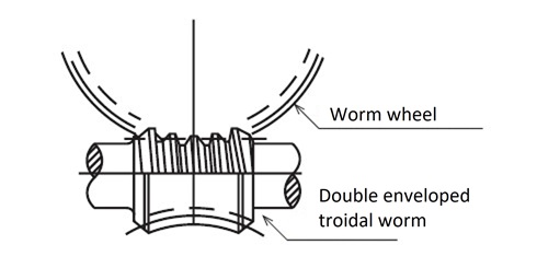Troidal Worm 