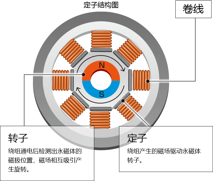 定子的构造