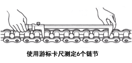 使用游标卡尺以6个链节为基准进行测量