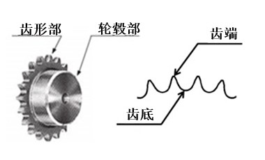 链轮各个部位的名称